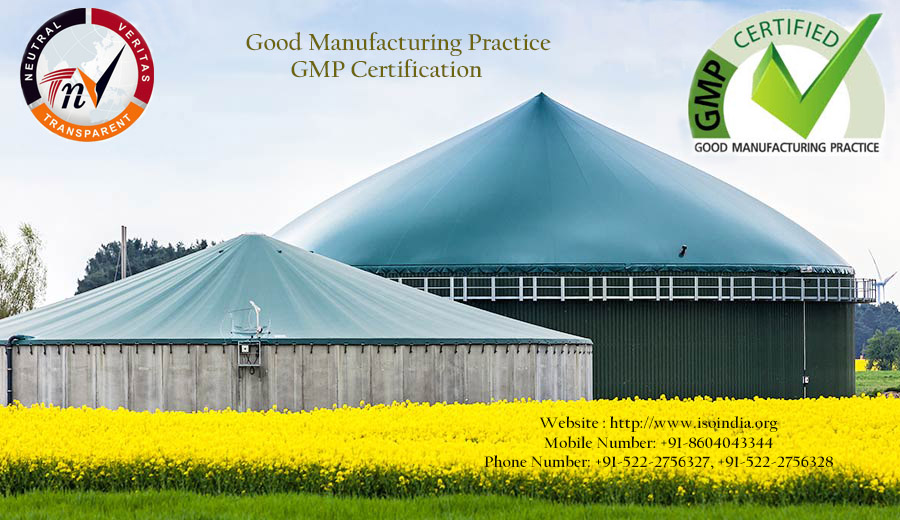 GMP Certification 
