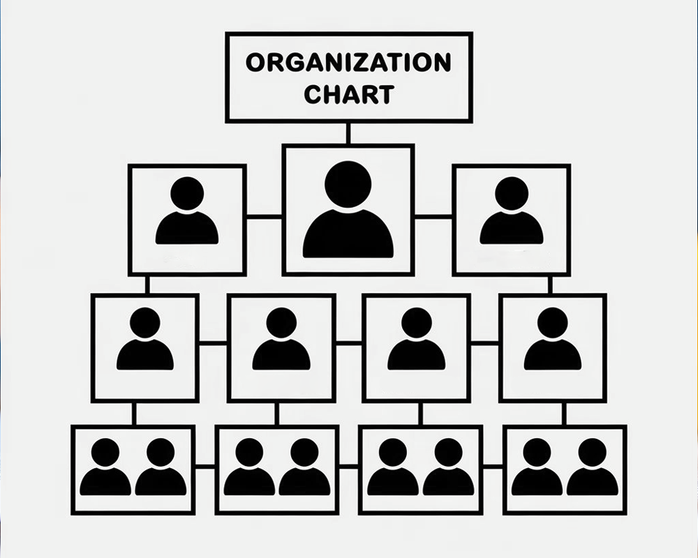 Organisation Chart